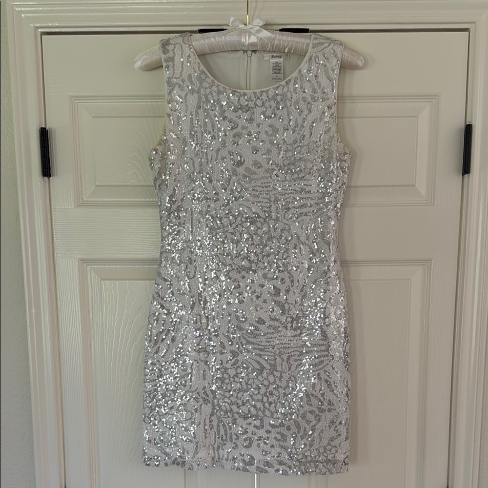 Esley Vintage Silver Sequin Sheath Mini Dress